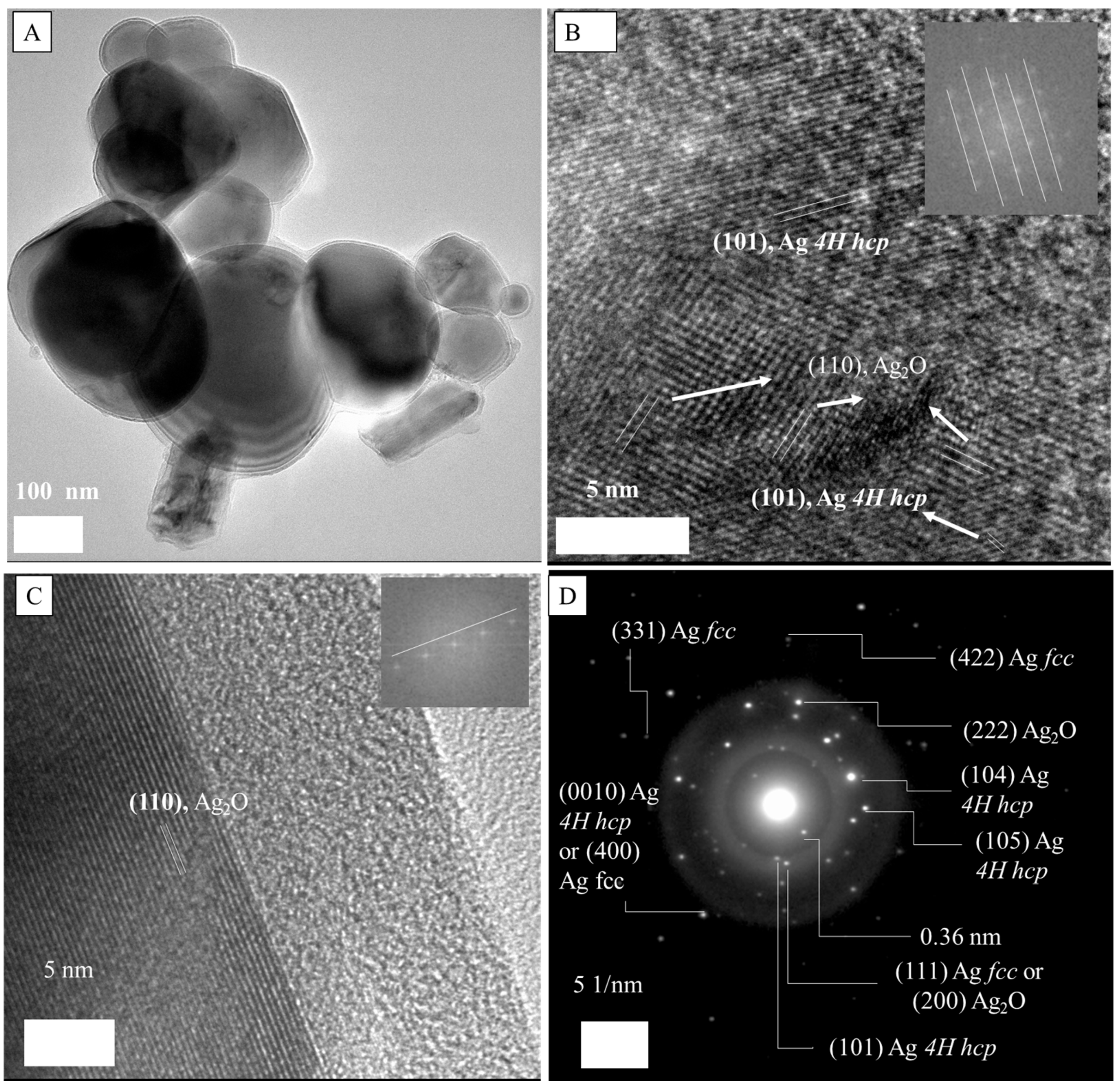 Applnano 06 00014 g009