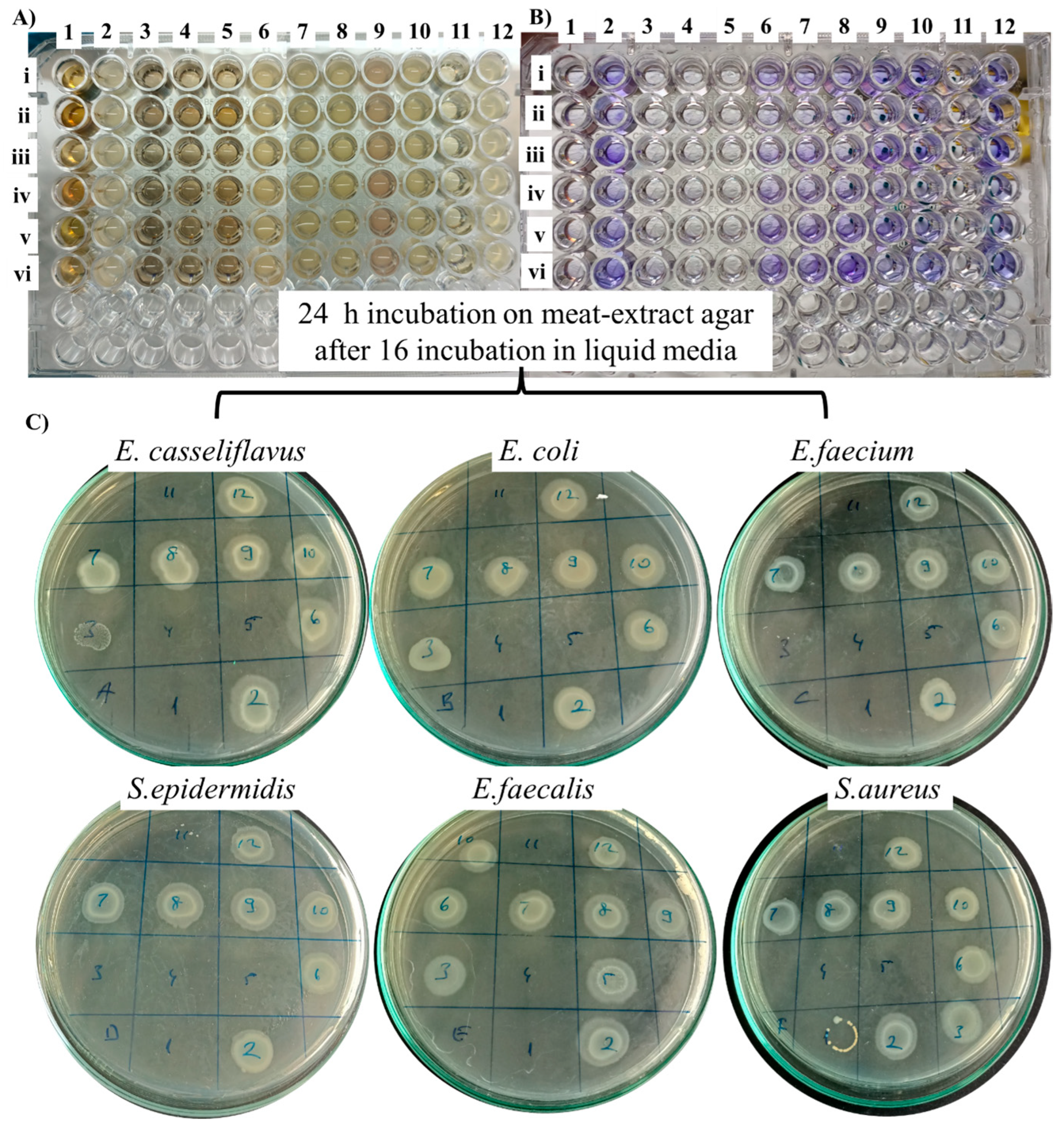 Applnano 06 00014 g010