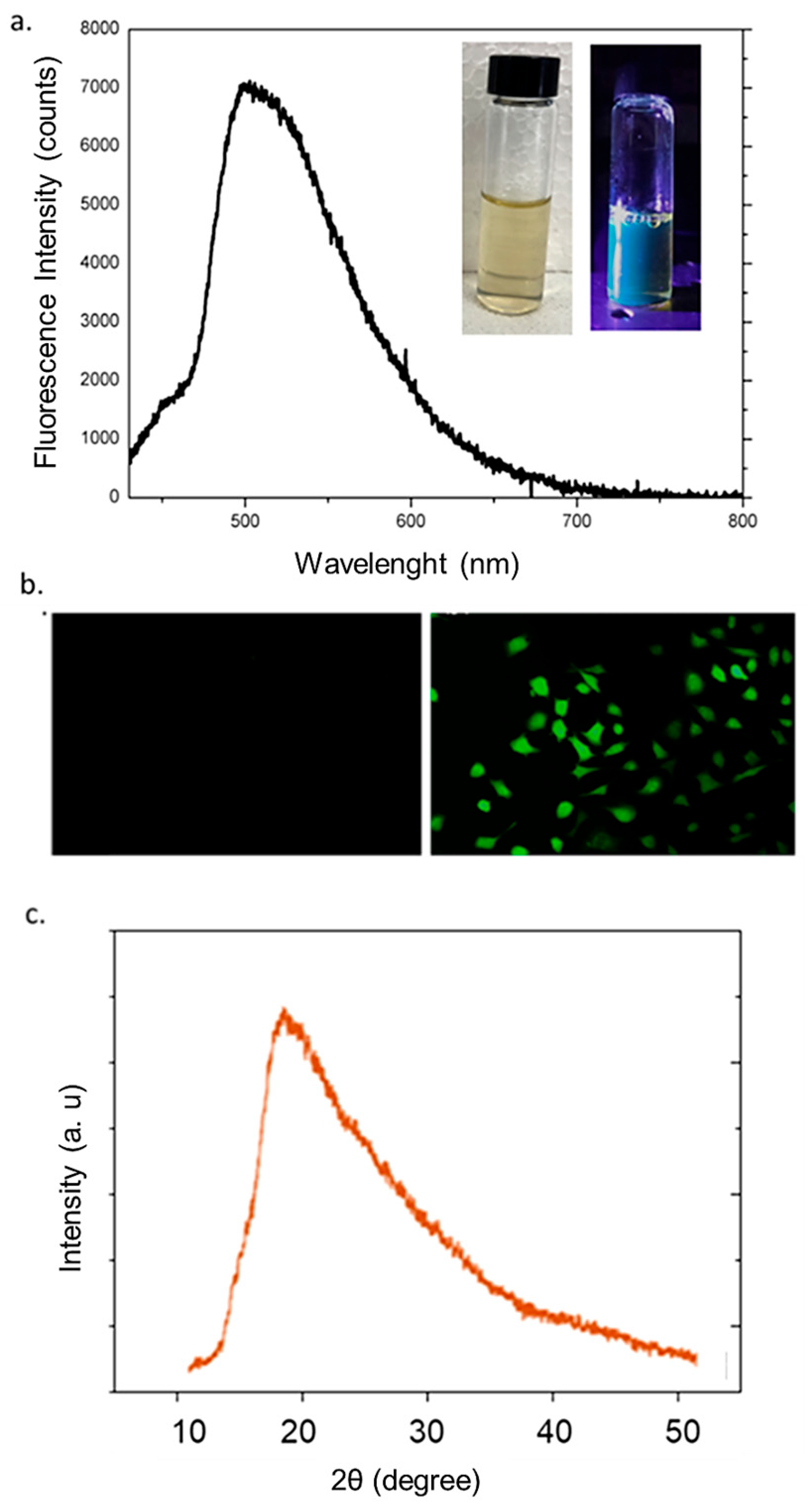 Applnano 06 00019 g003