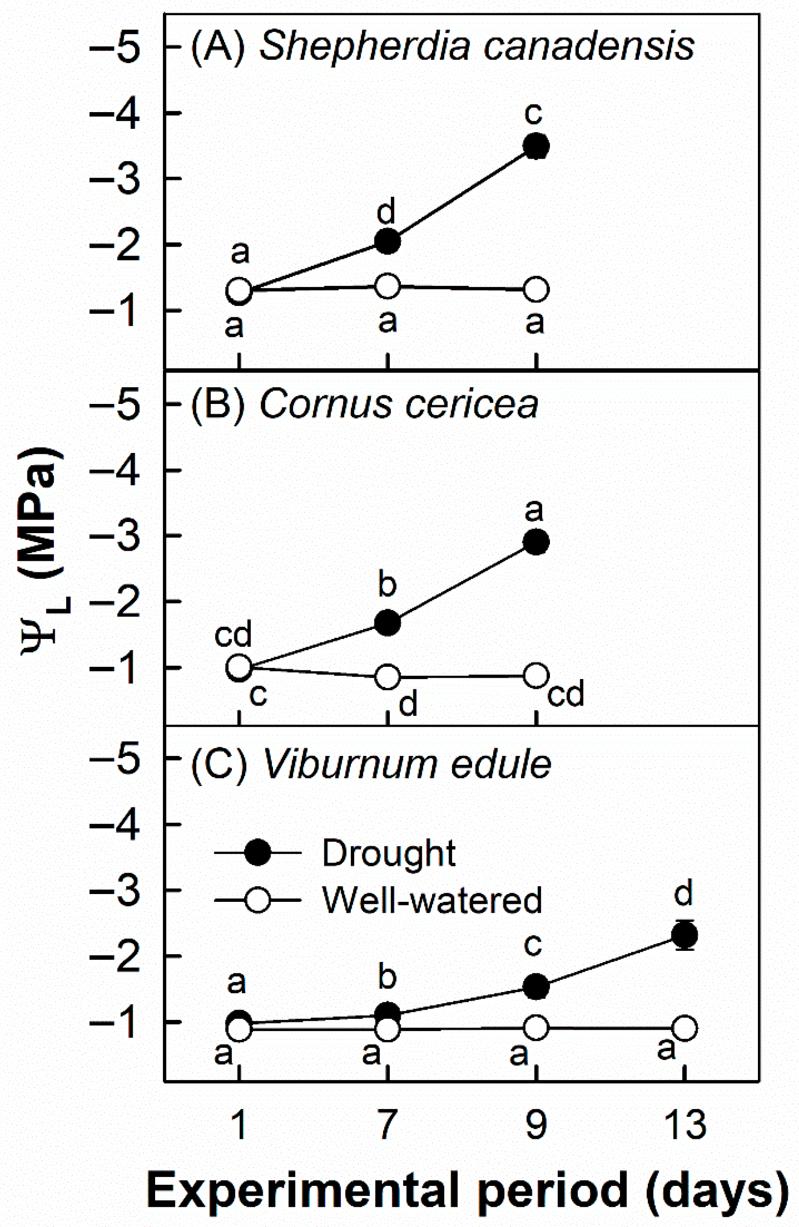 Applnano 06 00020 g002