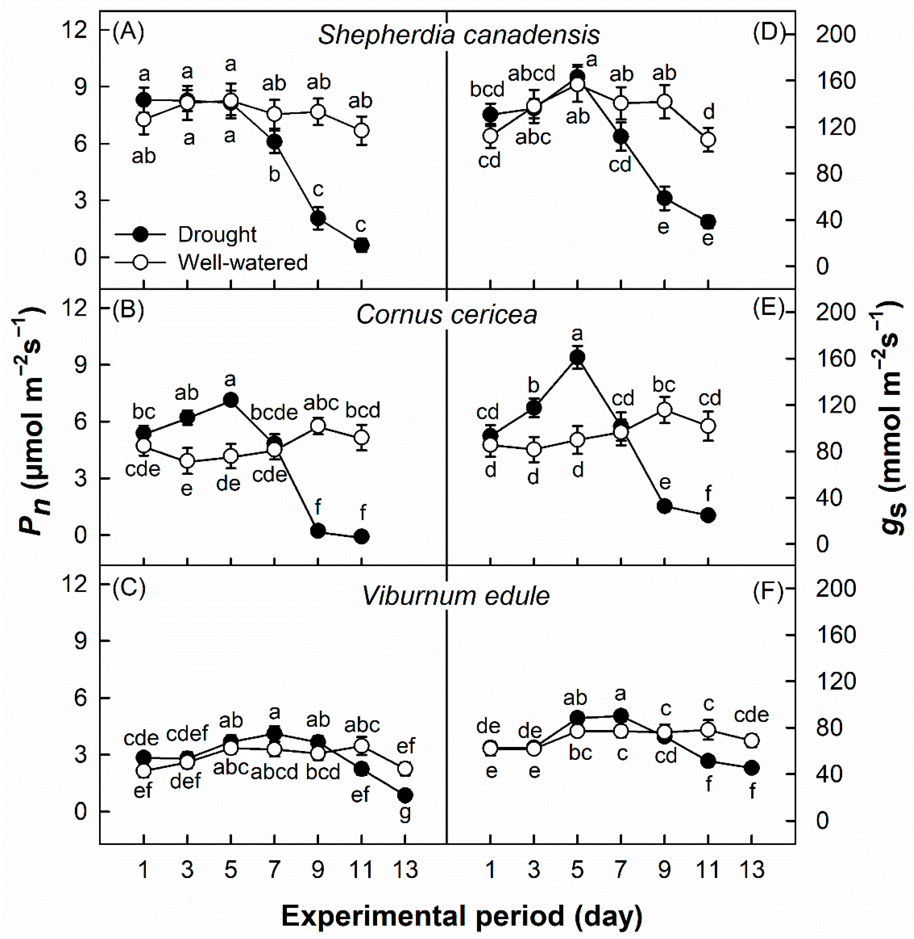 Applnano 06 00020 g003