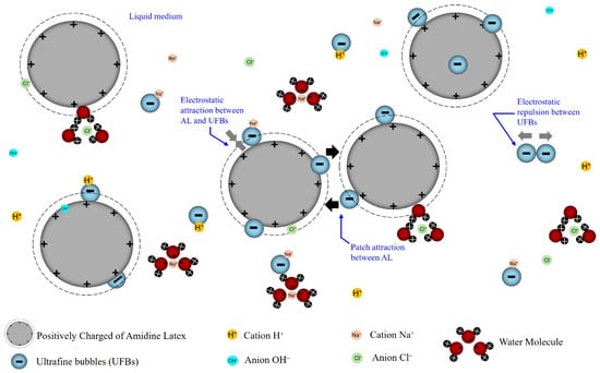 Schematic illustration of this study of colloidal and UFB interactions under standardized mixing. System components include positively charged AL particles, negatively charged UFBs, dissolved ions Na
  
    ⁢
    +
  
 and Cl
  
    ⁢
    −
  
 controlling ionic strength (Debye length 
  
    κ
    
      −
      1
    
  
), interfacial H
  
    ⁢
    +
  
/OH
  
    ⁢
    −
  
 associated with pH, and water as the continuous medium. Electrostatic attraction promotes the adsorption of UFB onto AL surfaces, while UFB–UFB electrostatic repulsion governs their lateral arrangement and becomes increasingly screened at higher NaCl concentrations. The progressive accumulation of UFBs at the AL interface leads to the development of localized charge patches and the formation of an interfacial hydrodynamic layer that may subsequently influence aggregate formation and evolution.