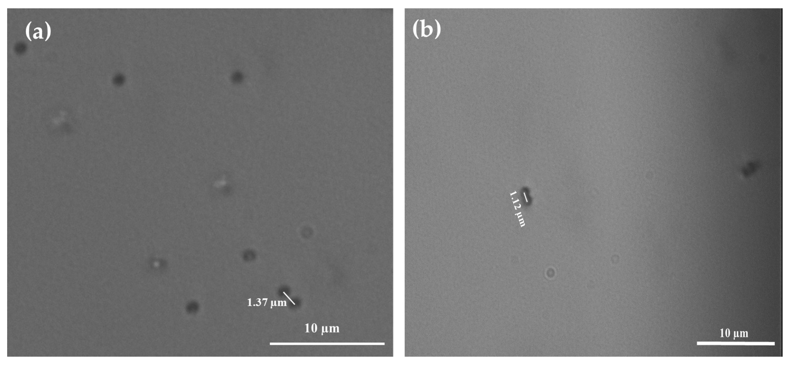 Applnano 06 00027 g005