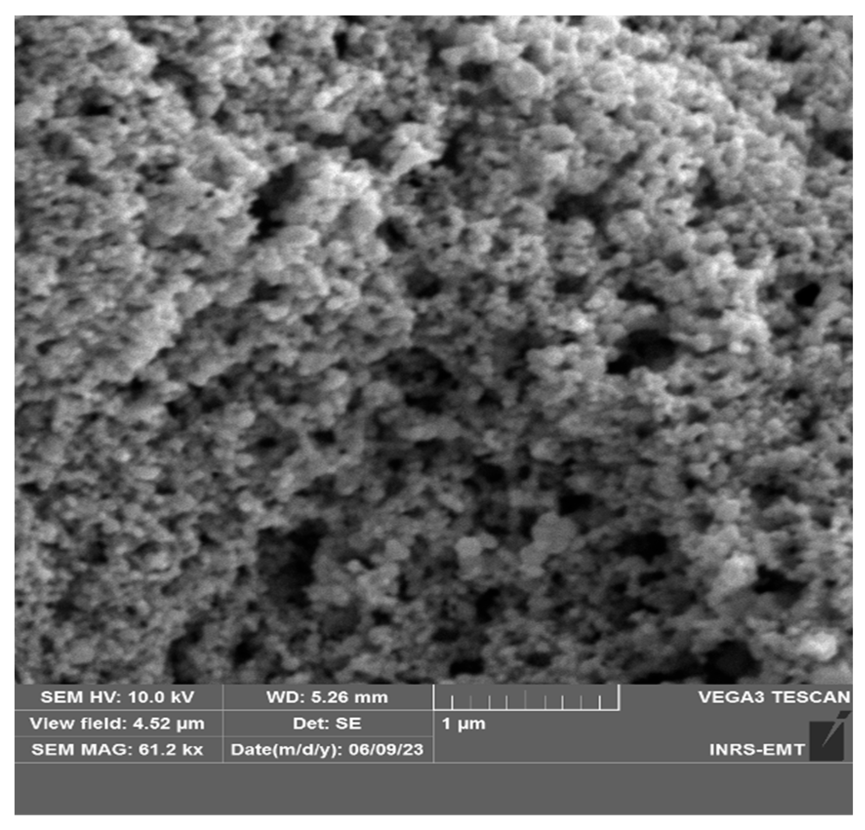 Applnano 06 00029 g003