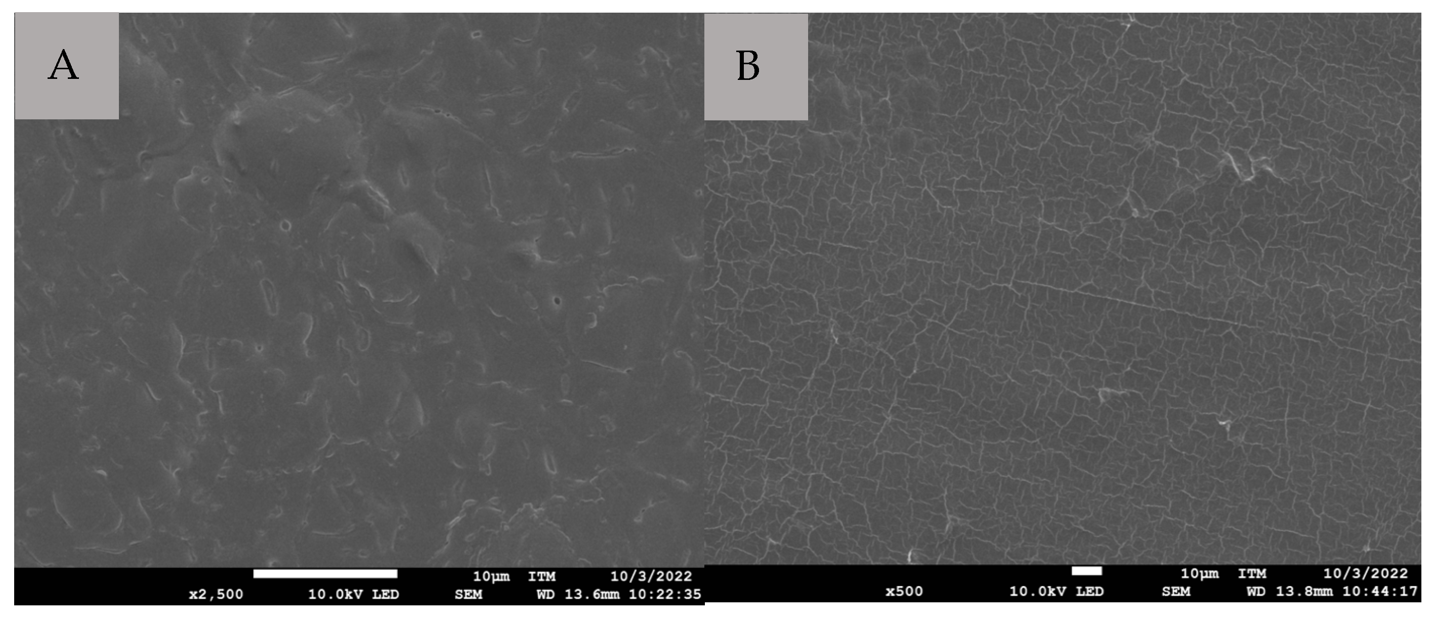 Applnano 07 00006 g003a Applnano 07 00006 g003a