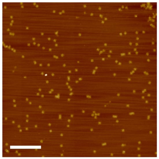 Applnano 07 00026 g0a1