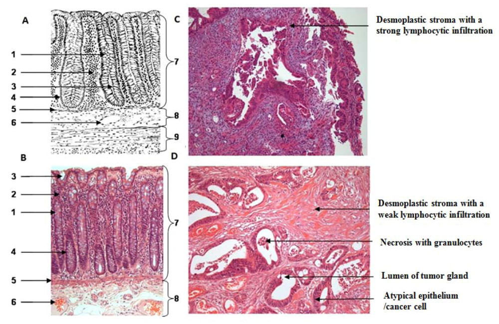 Applsci 02 00139 g004