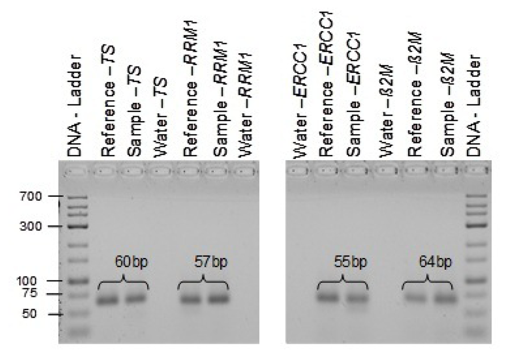 Applsci 02 00139 g009 1024