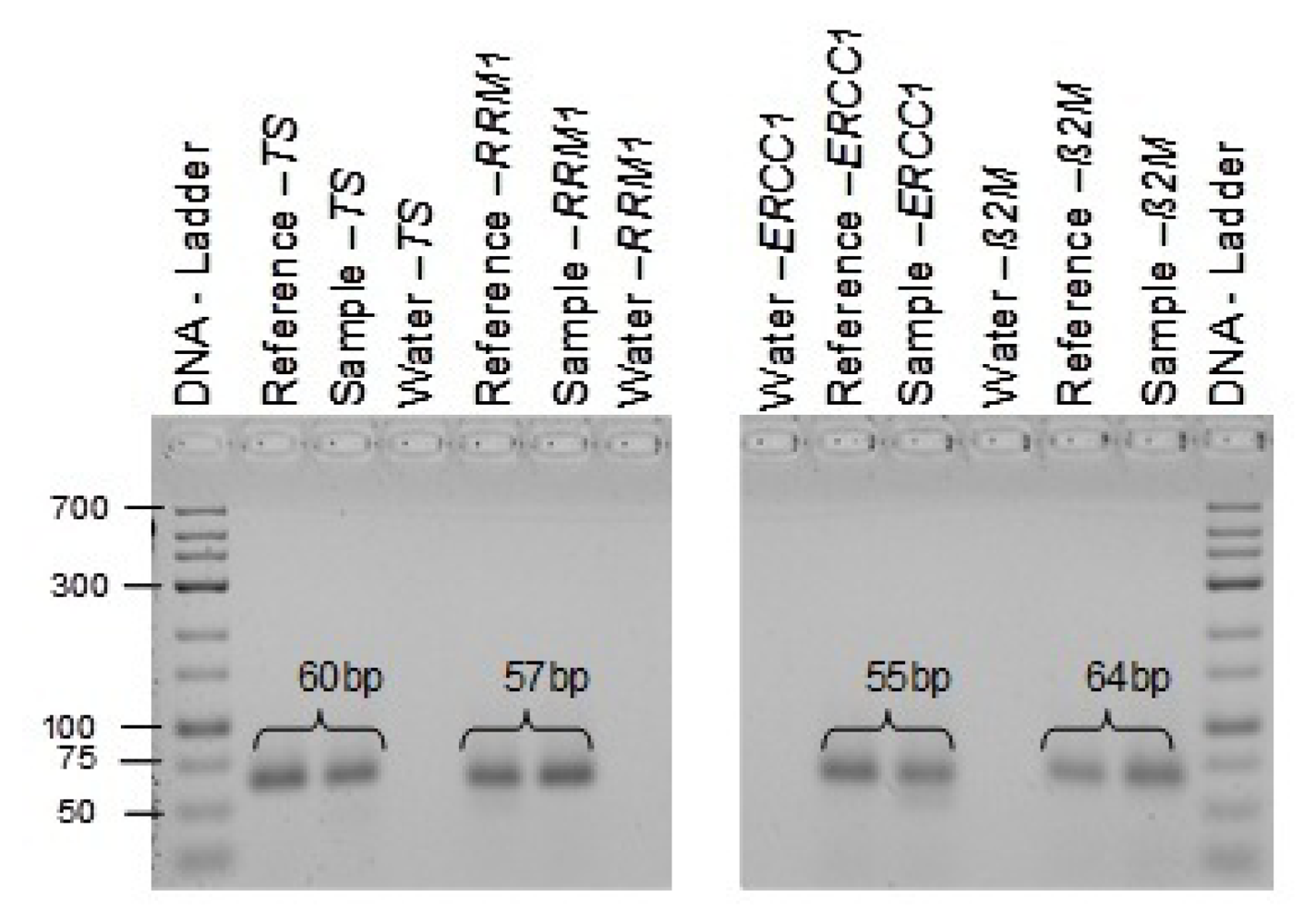 Applsci 02 00139 g009