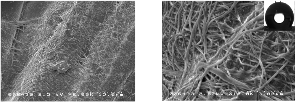 Applsci 02 00175 g004 1024