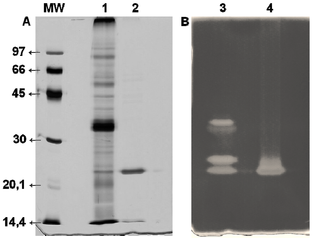 Applsci 02 00754 g002 1024