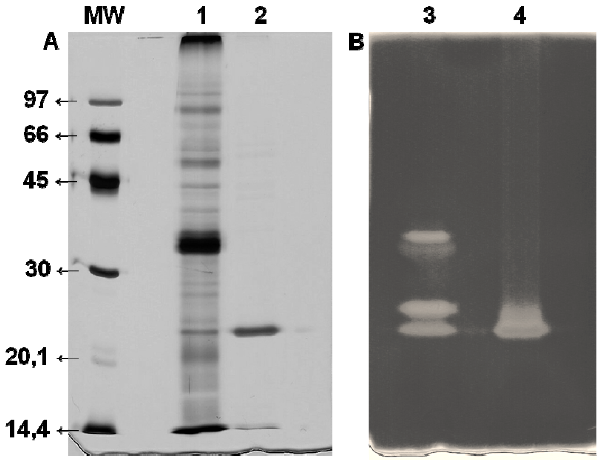 Applsci 02 00754 g002