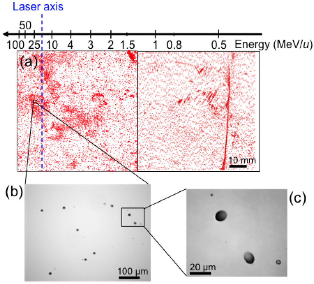Applsci 03 00214 g013 1024