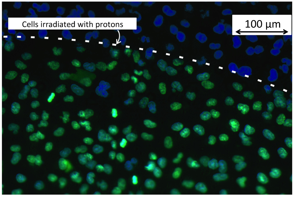 Applsci 03 00214 g019 1024