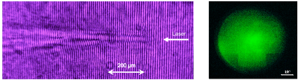 Applsci 03 00559 g001 1024