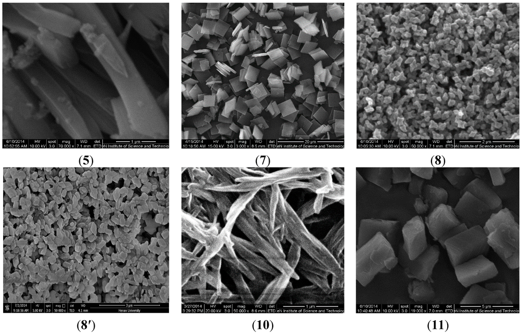 Applsci 05 00910 g001b 1024