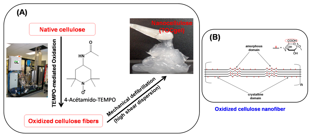 Applsci 05 01164 g001 1024