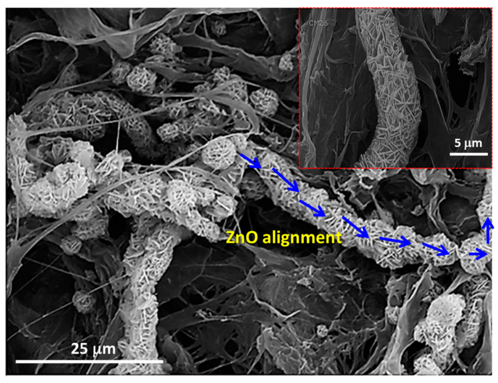 Applsci 05 01164 g004 1024