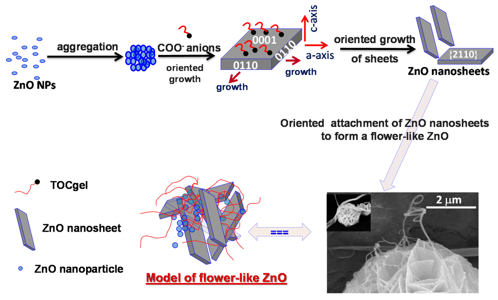 Applsci 05 01164 g007 1024