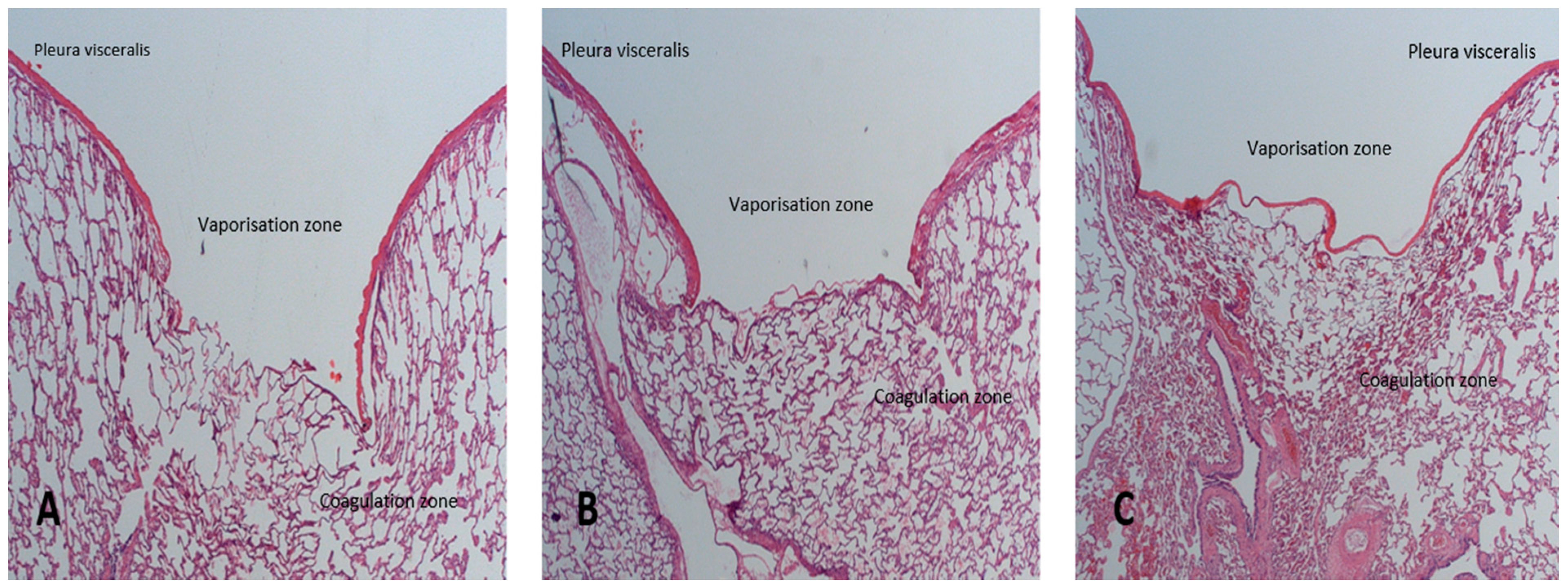 Applsci 05 01560 g004