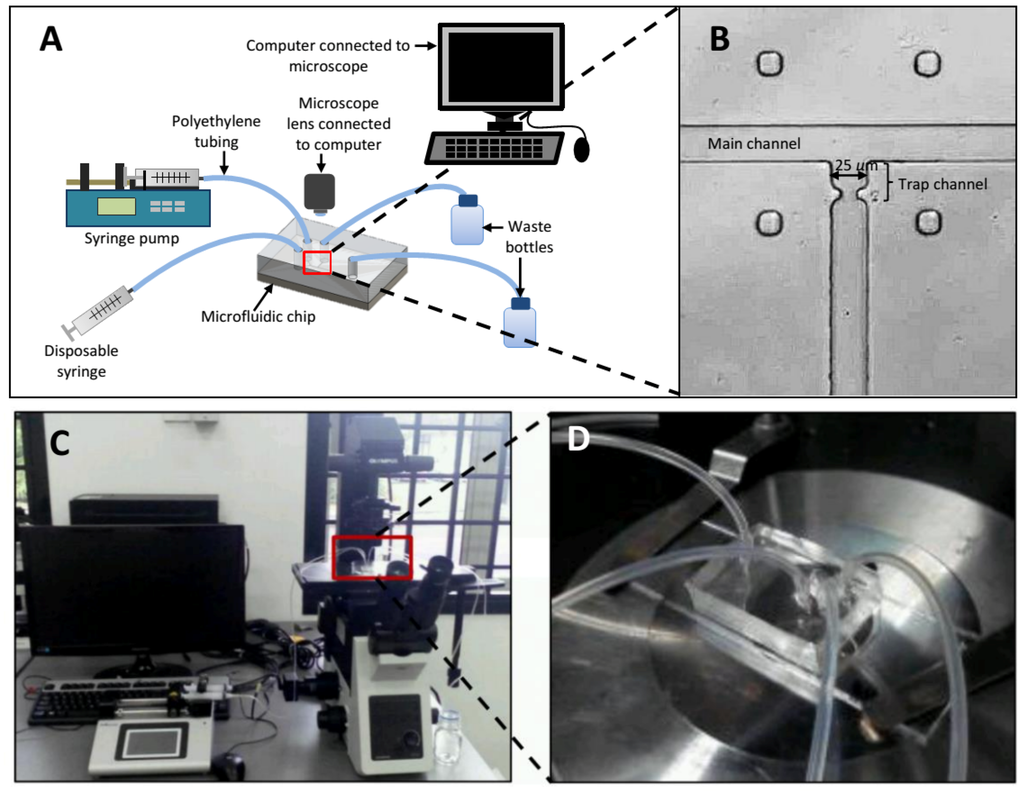 Applsci 06 00040 g005 1024