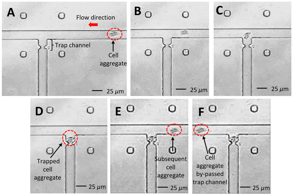 Applsci 06 00040 g014 1024
