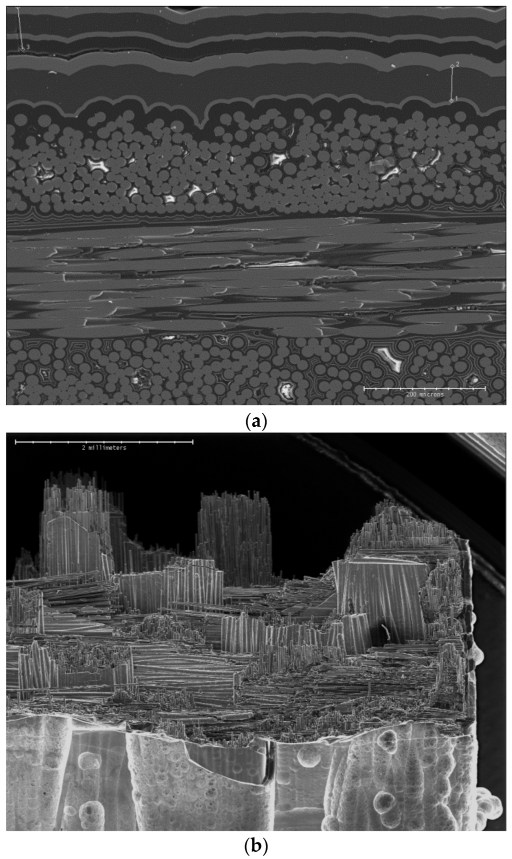 Applsci 06 00043 g001 1024