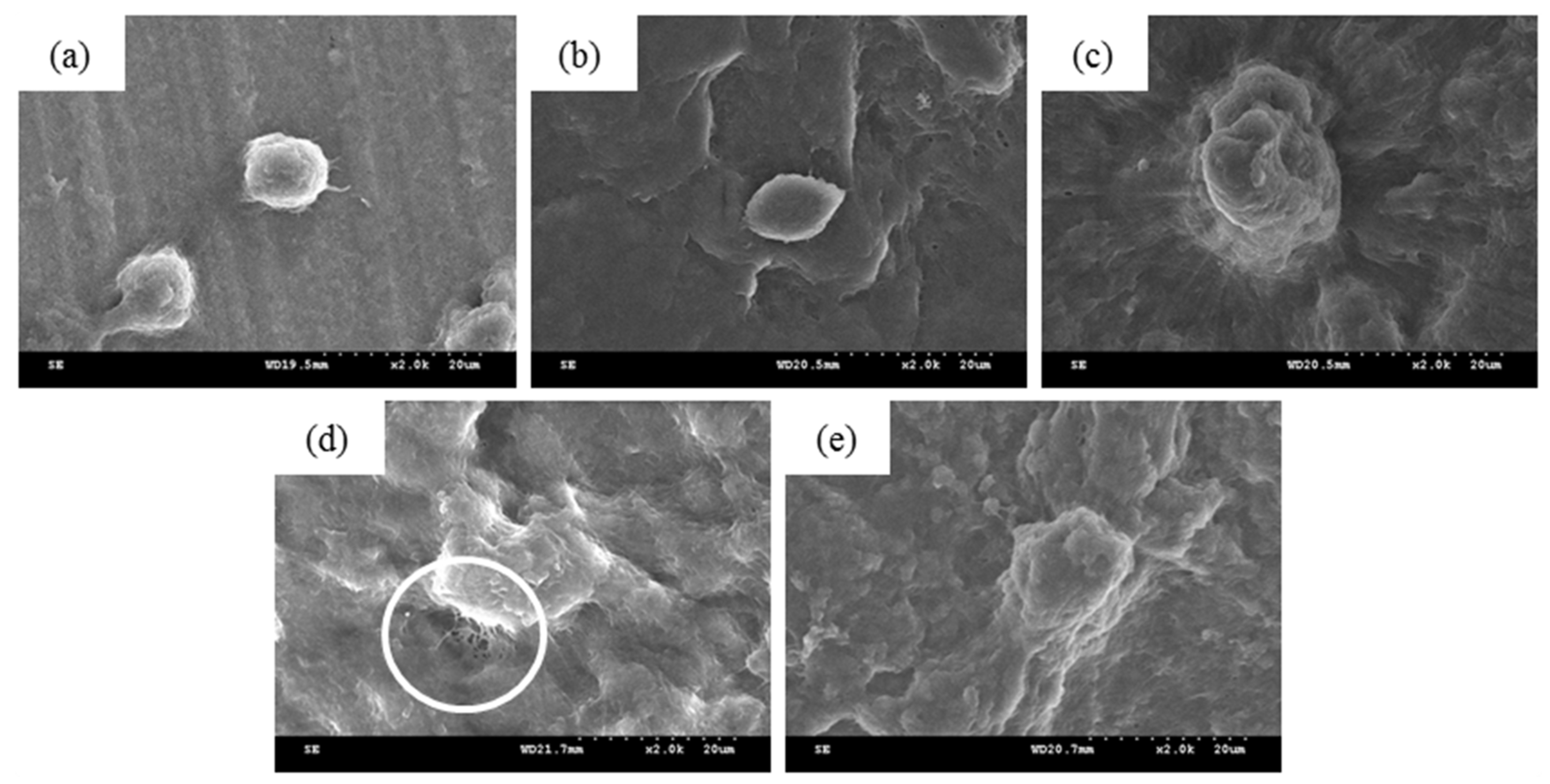 Applsci 06 00046 g009