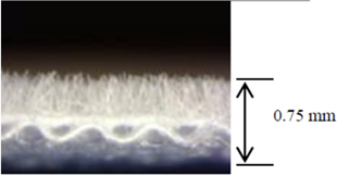 Applsci 06 00059 i001