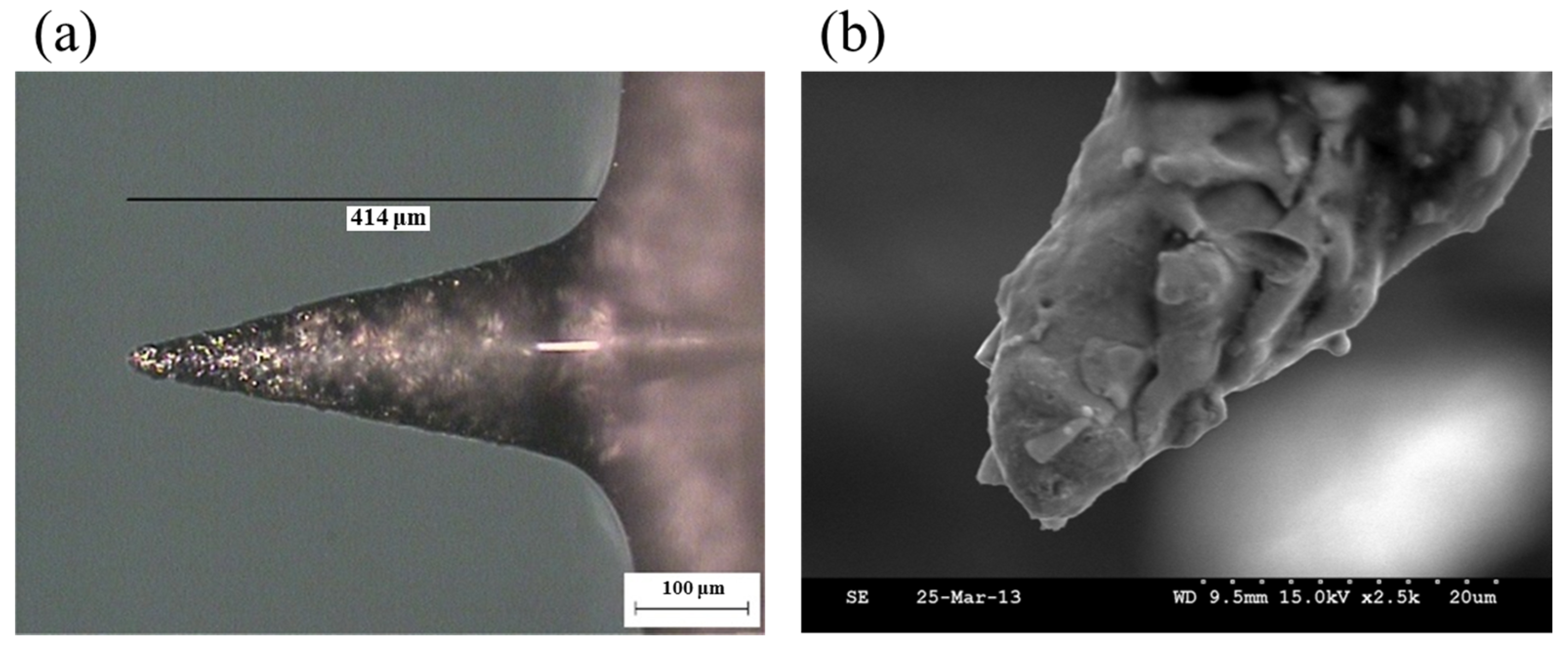 Applsci 06 00077 g017