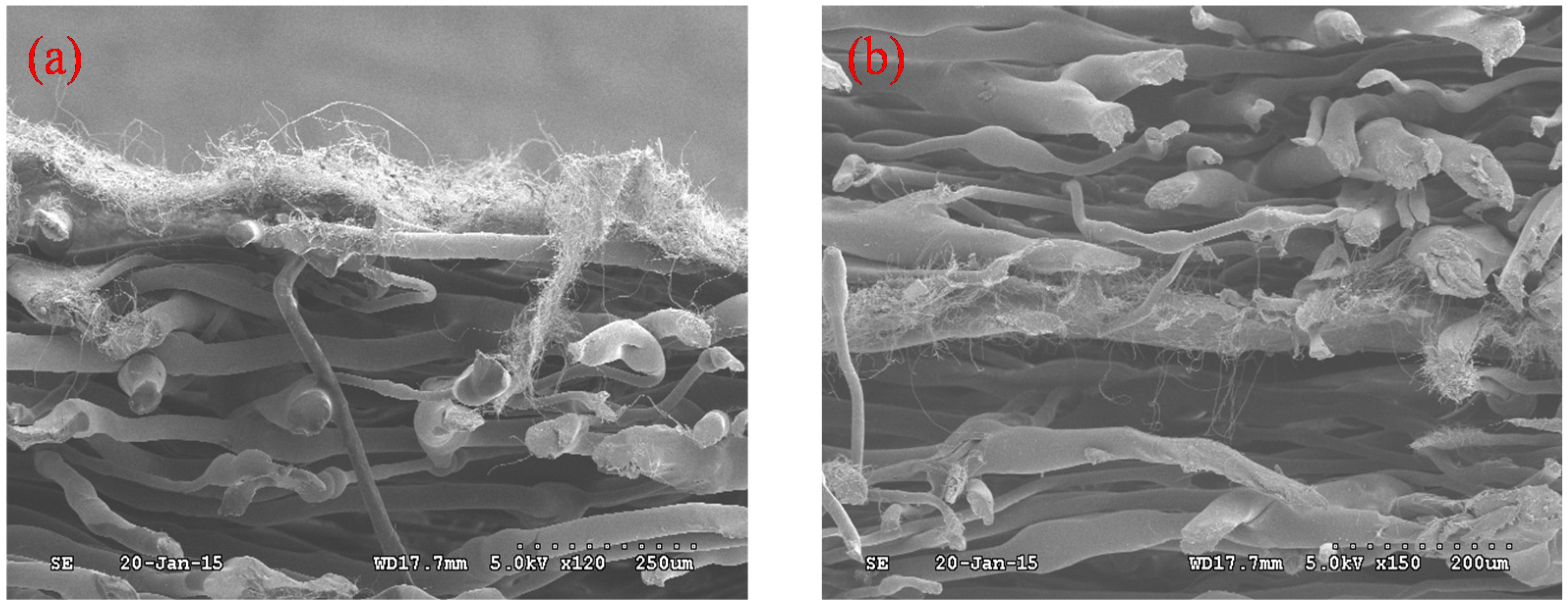 Applsci 06 00235 g004
