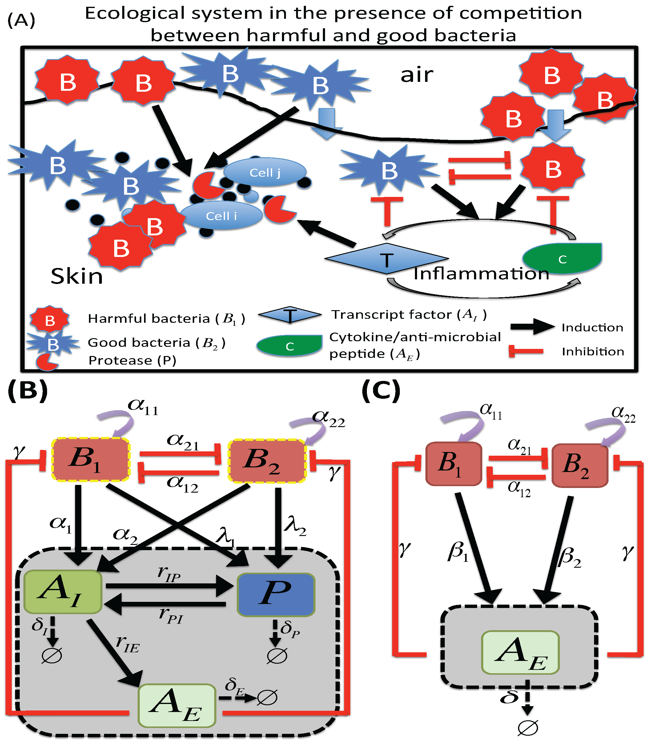Applsci 06 00252 g002