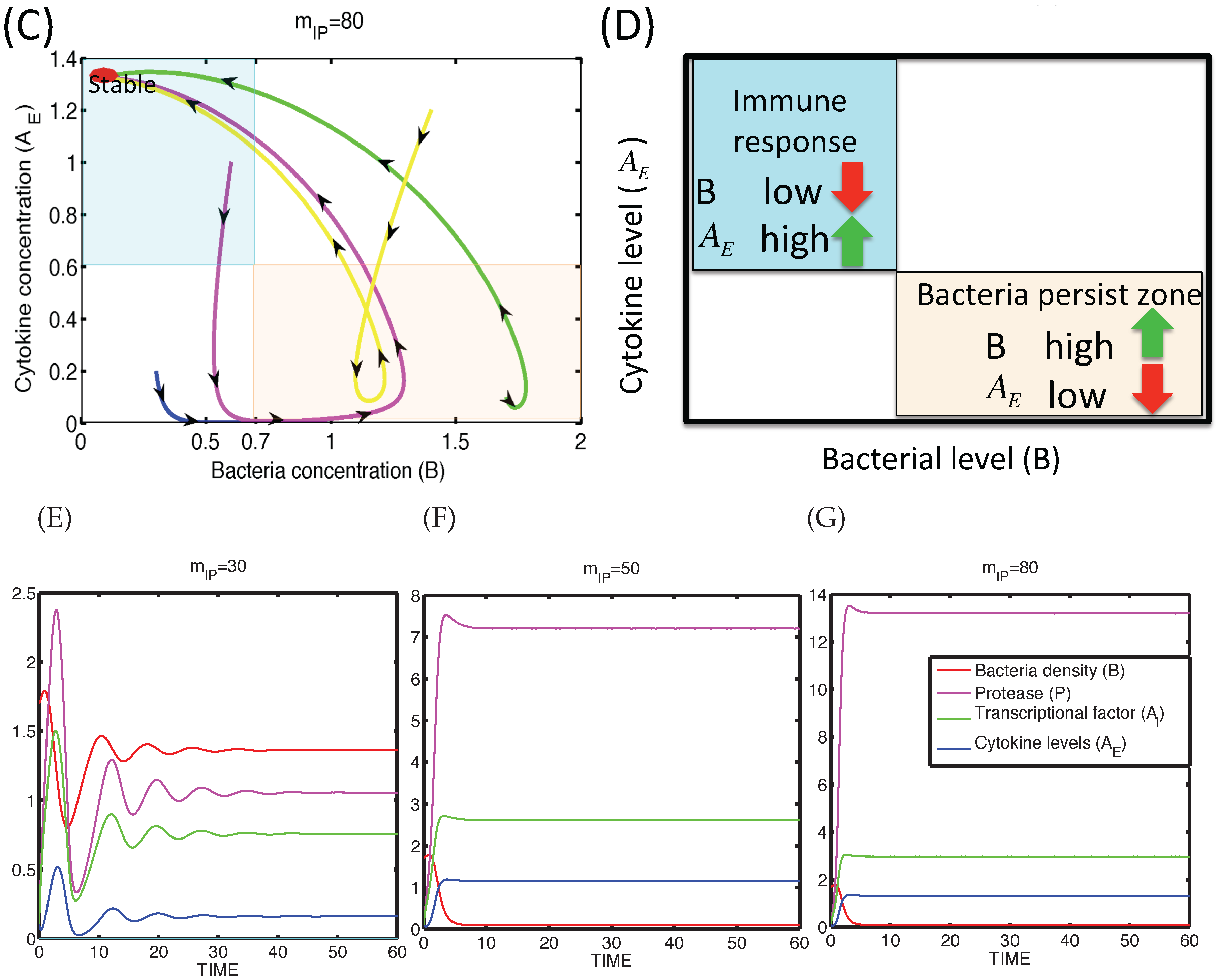 Applsci 06 00252 g005b