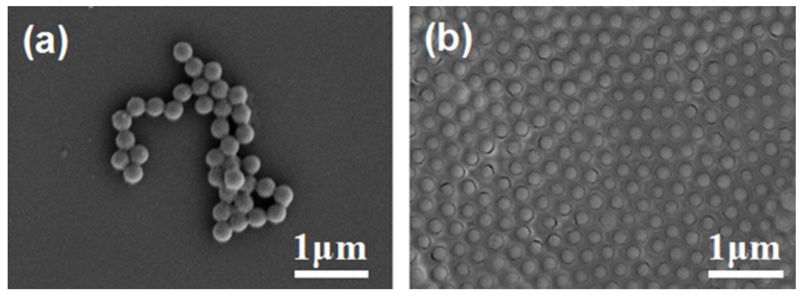 Applsci 06 00259 g001