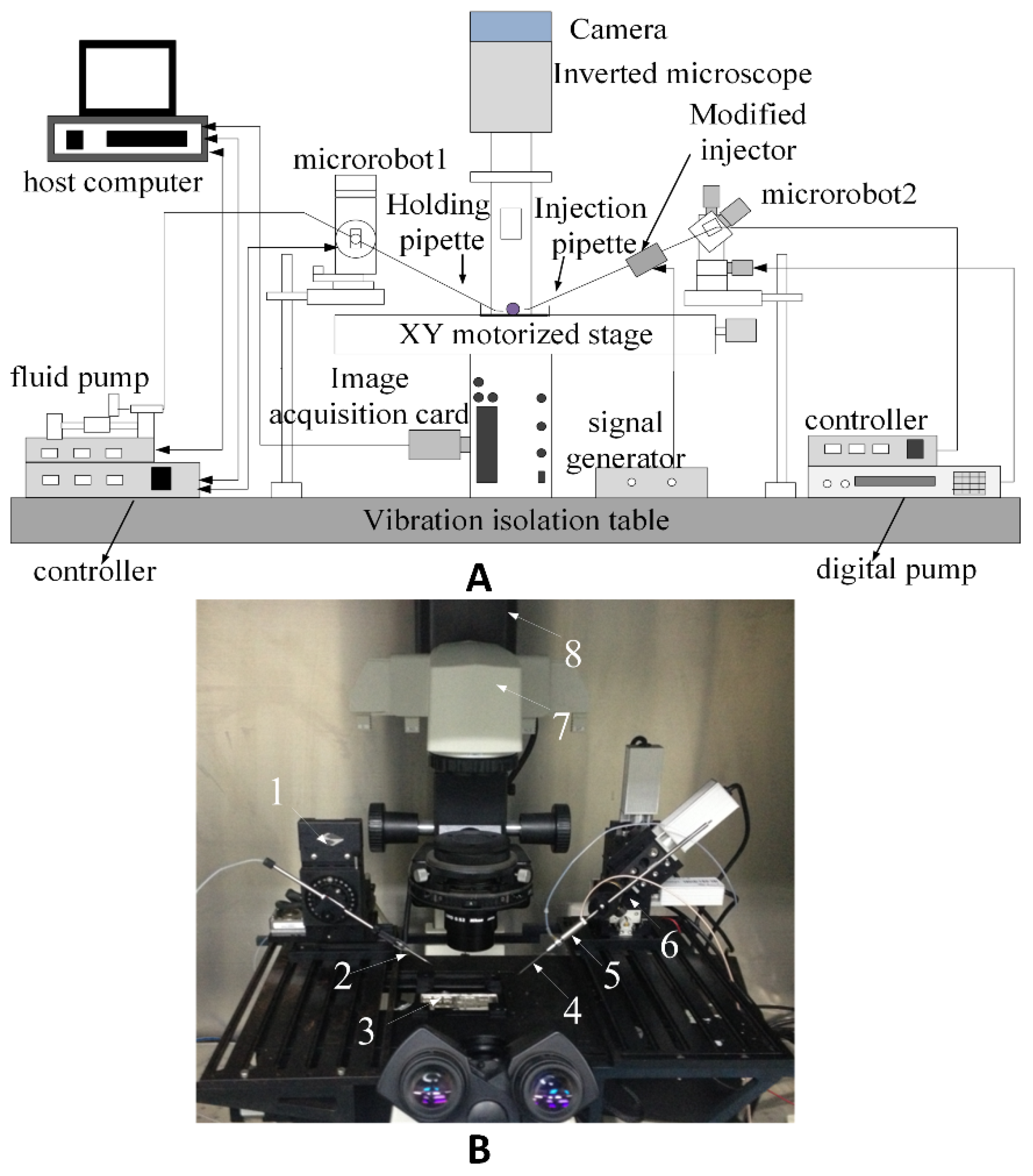 Applsci 06 00314 g001