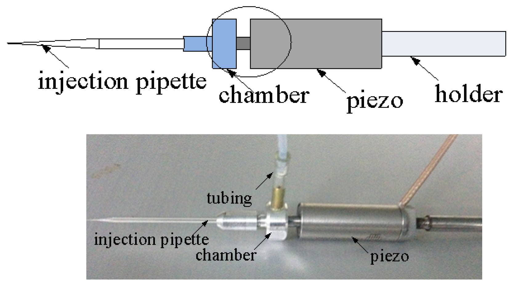 Applsci 06 00314 g004