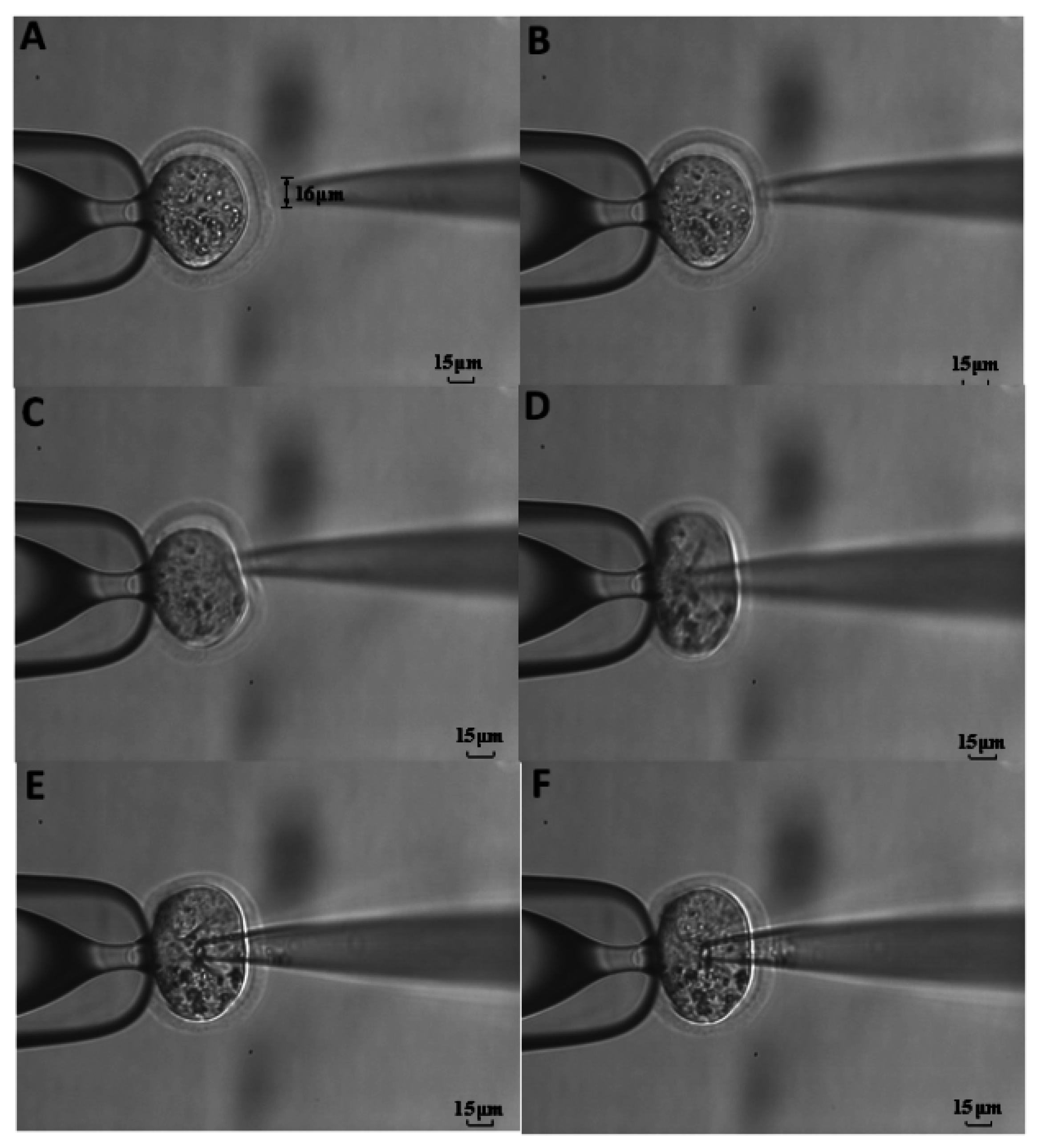 Applsci 06 00314 g007