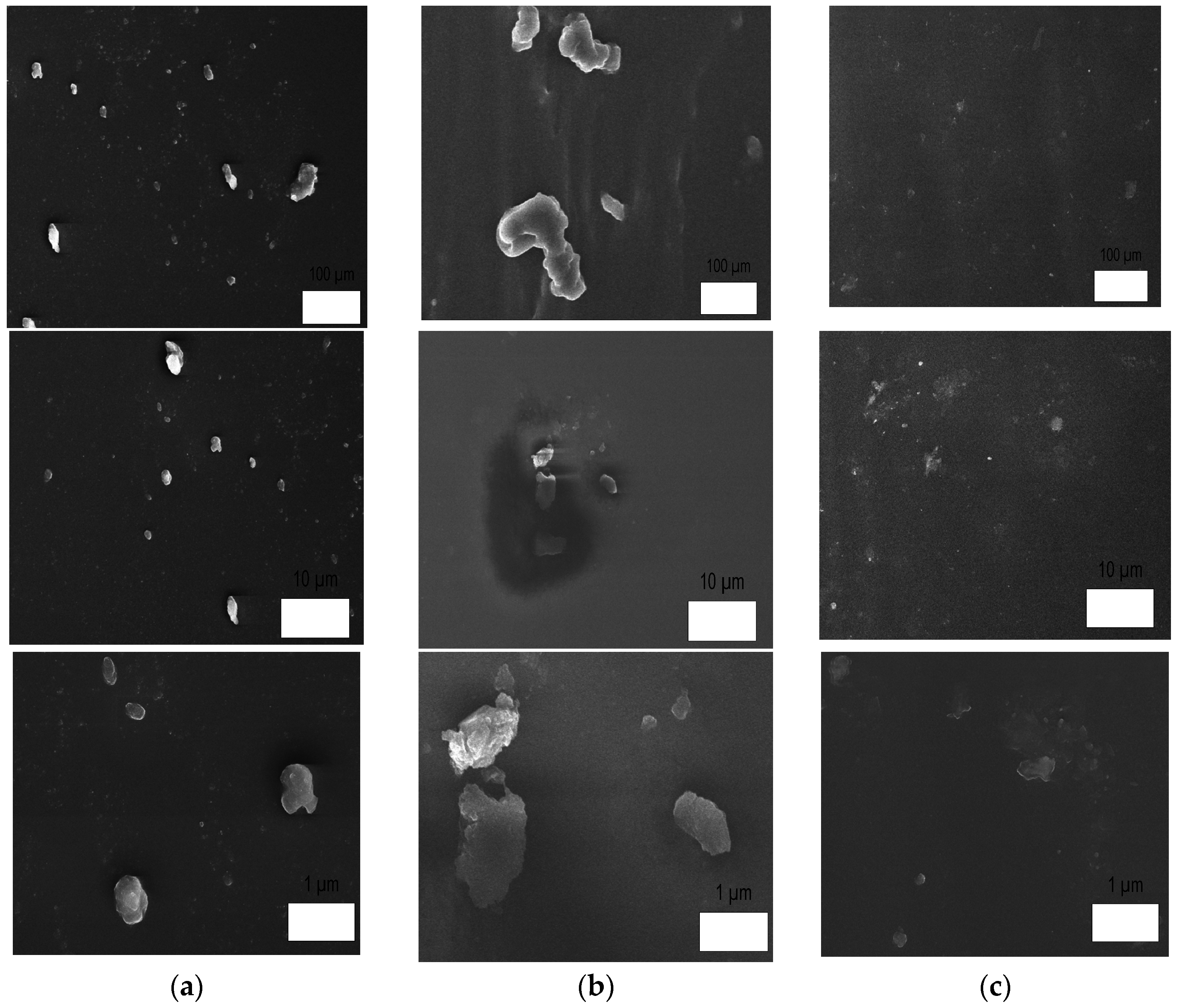 Applsci 06 00348 g010