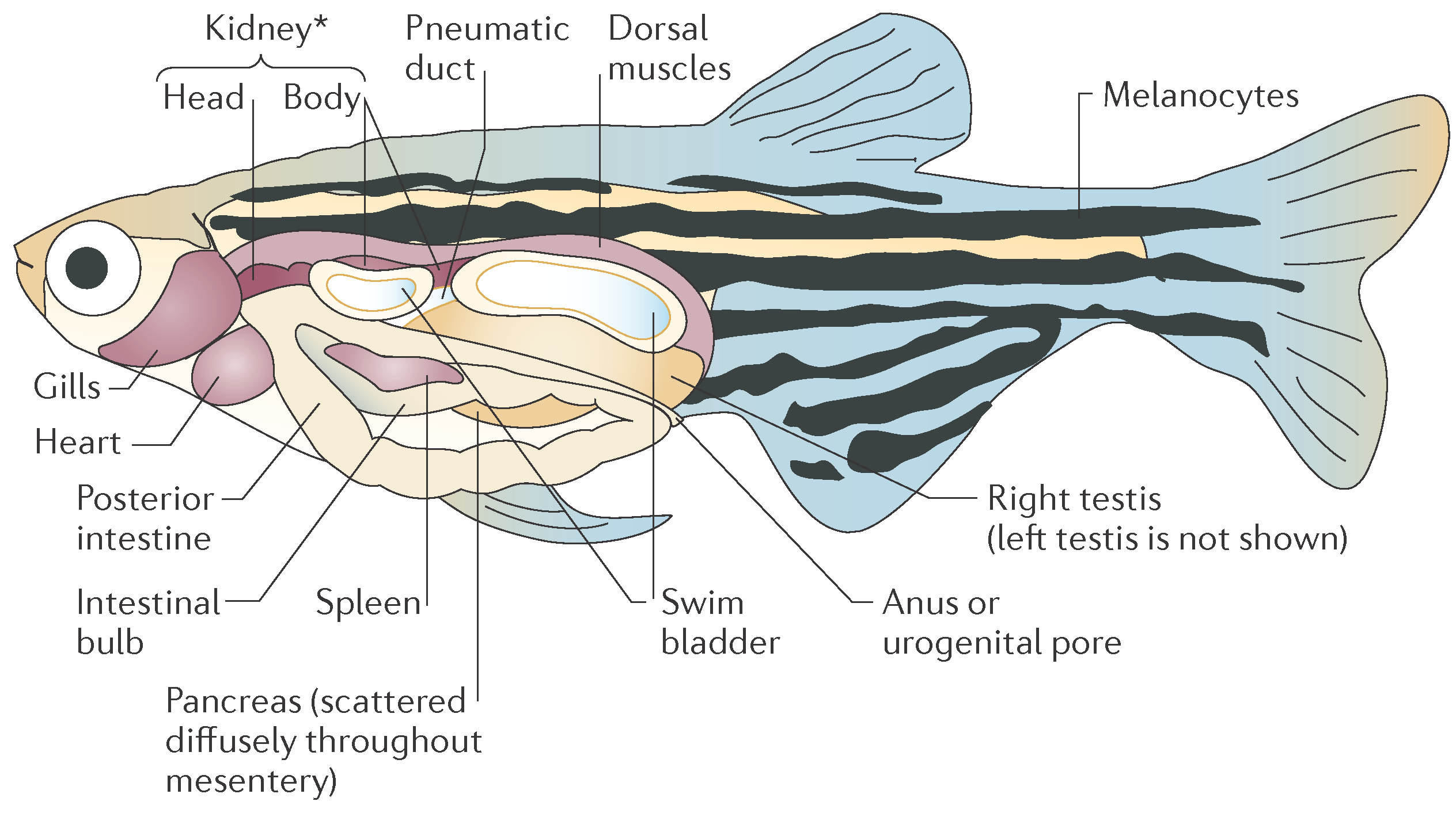 Applsci 06 00392 g003