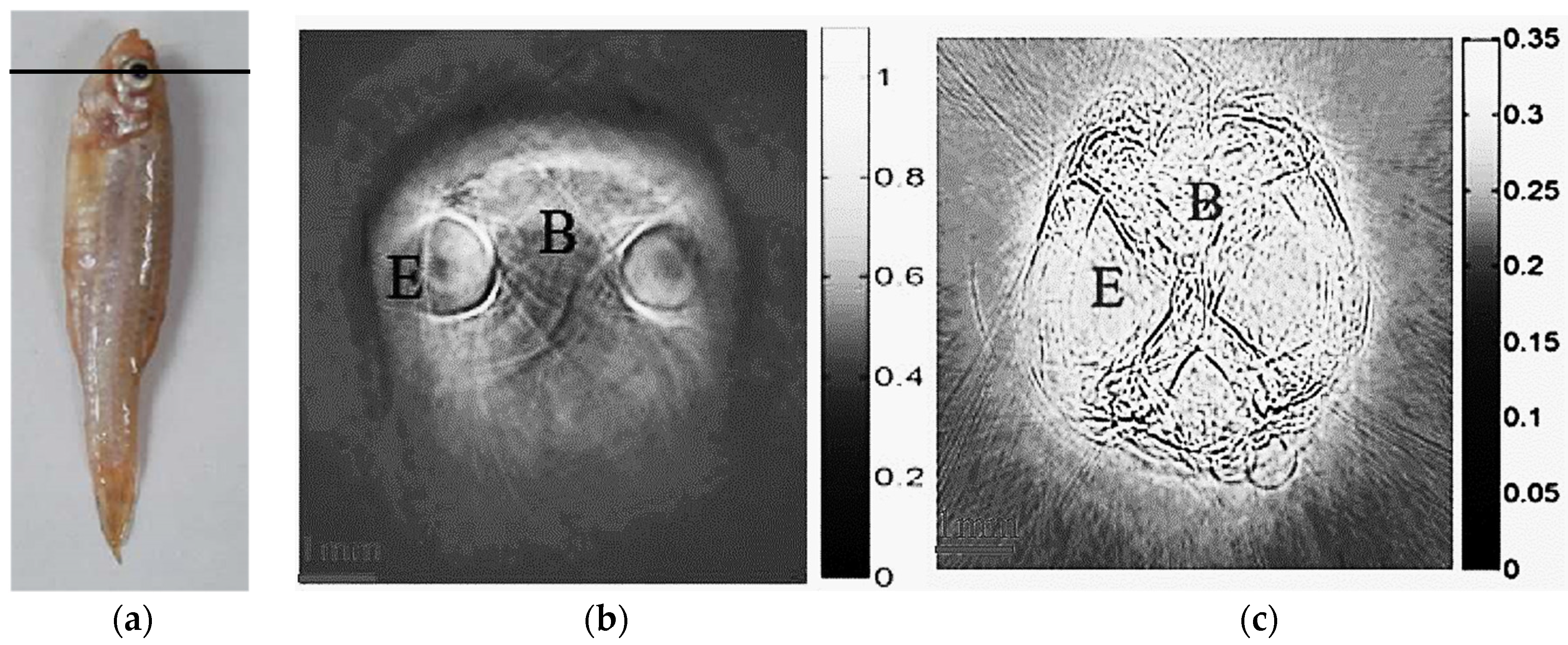 Applsci 06 00392 g004