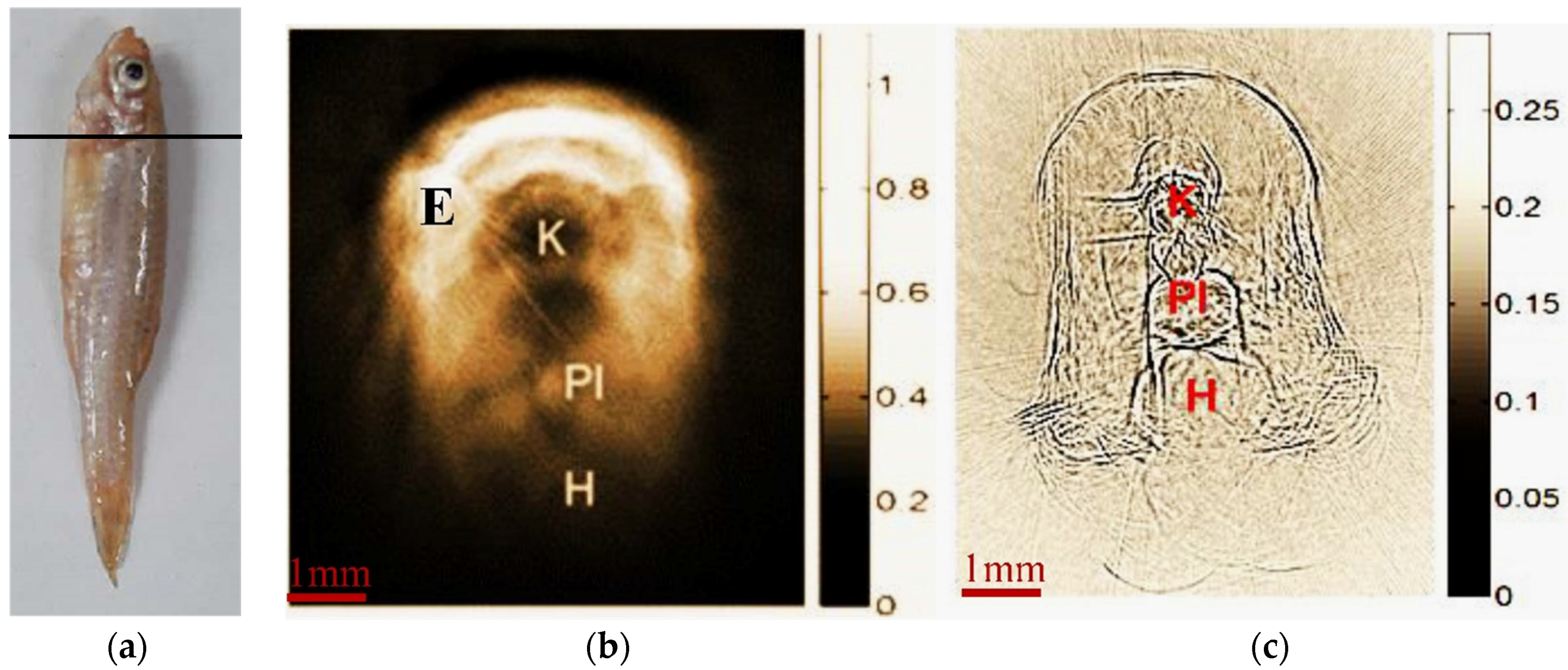 Applsci 06 00392 g005