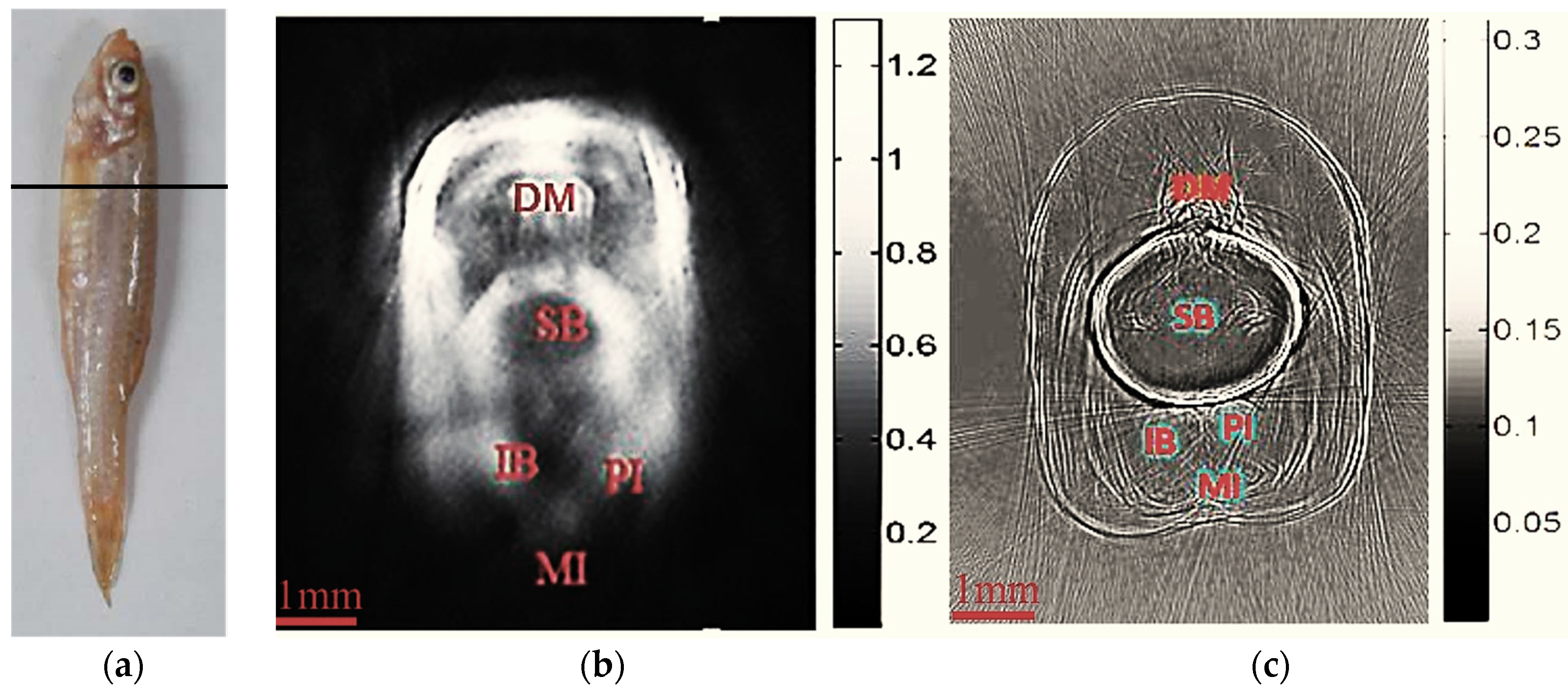 Applsci 06 00392 g006