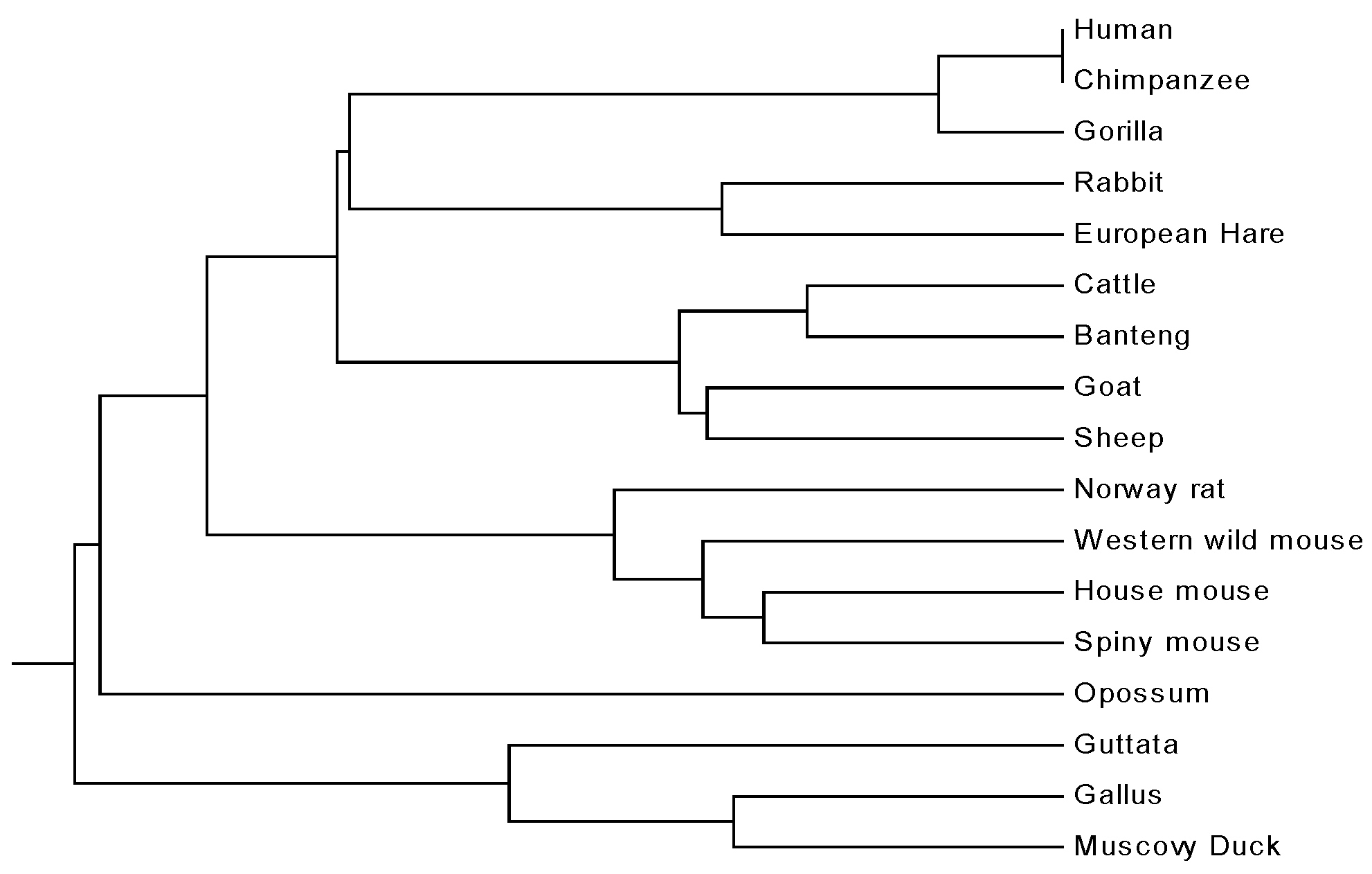 Applsci 06 00406 g002