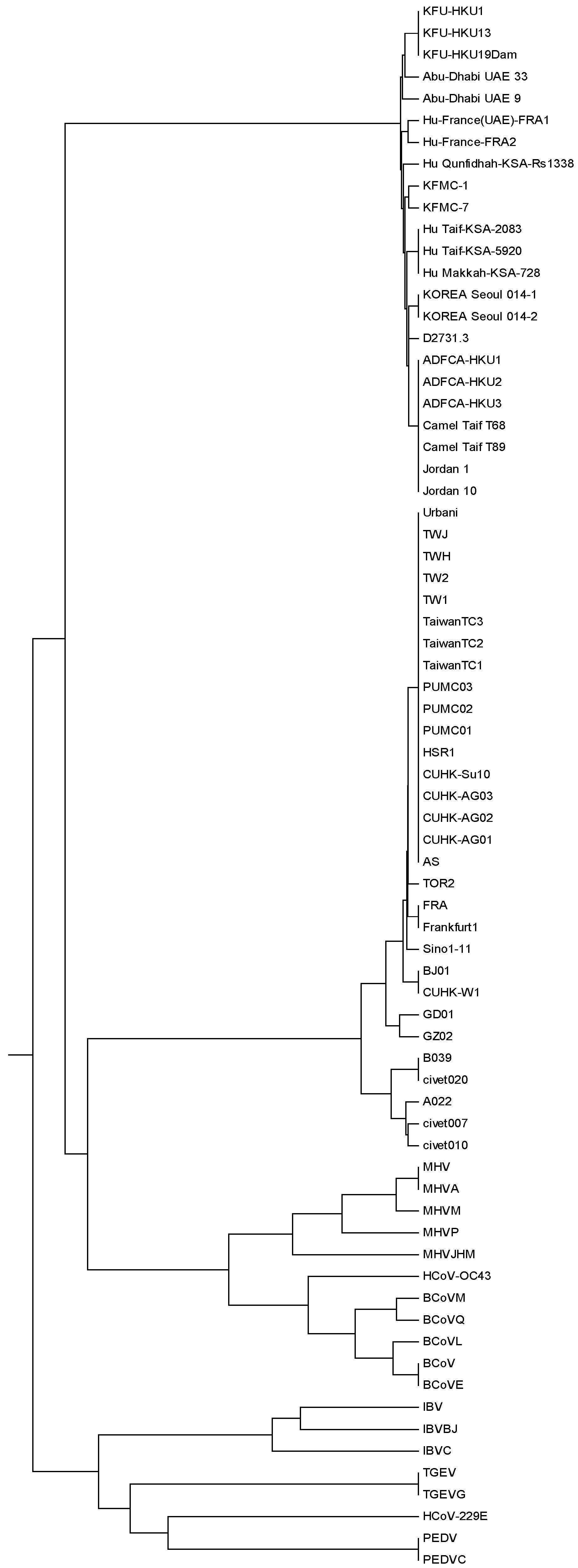 Applsci 06 00406 g003
