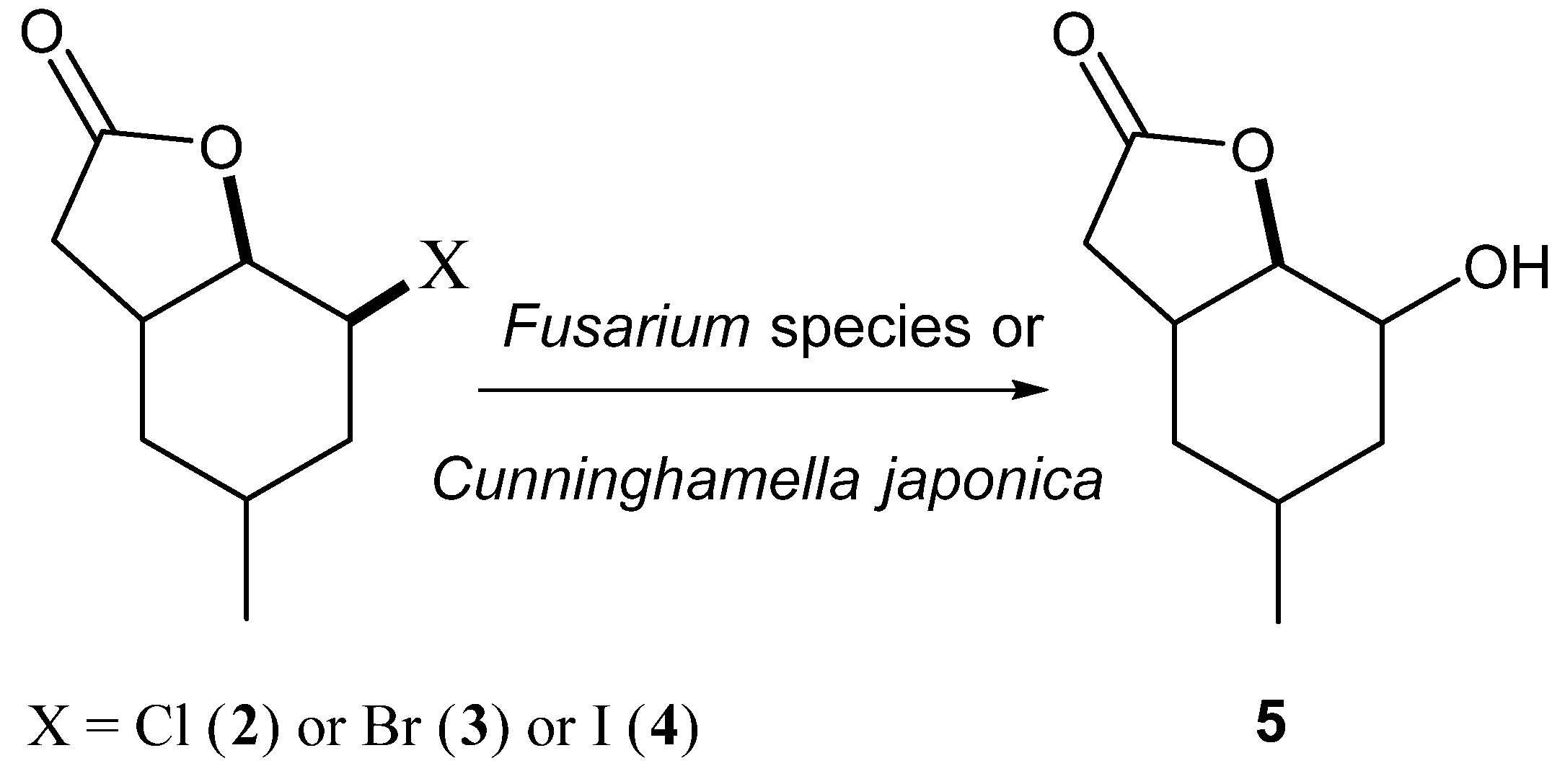 Applsci 07 00012 sch002