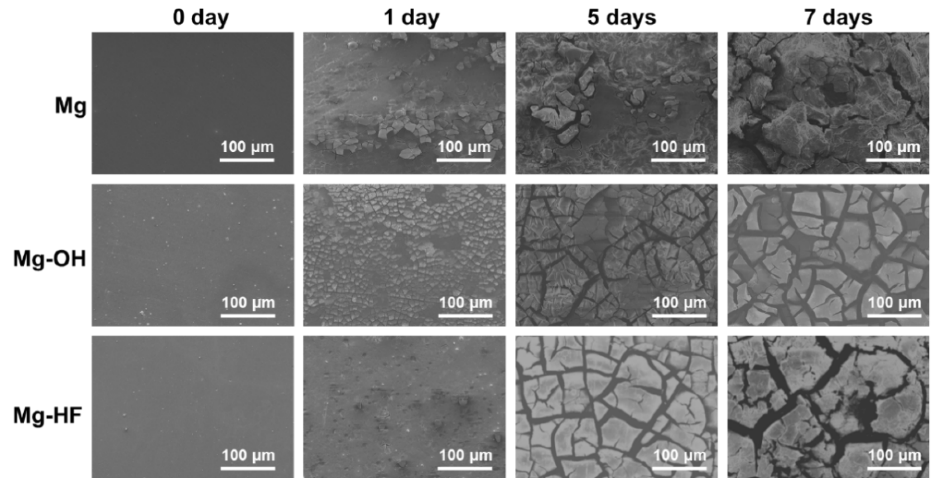 Applsci 07 00033 g005