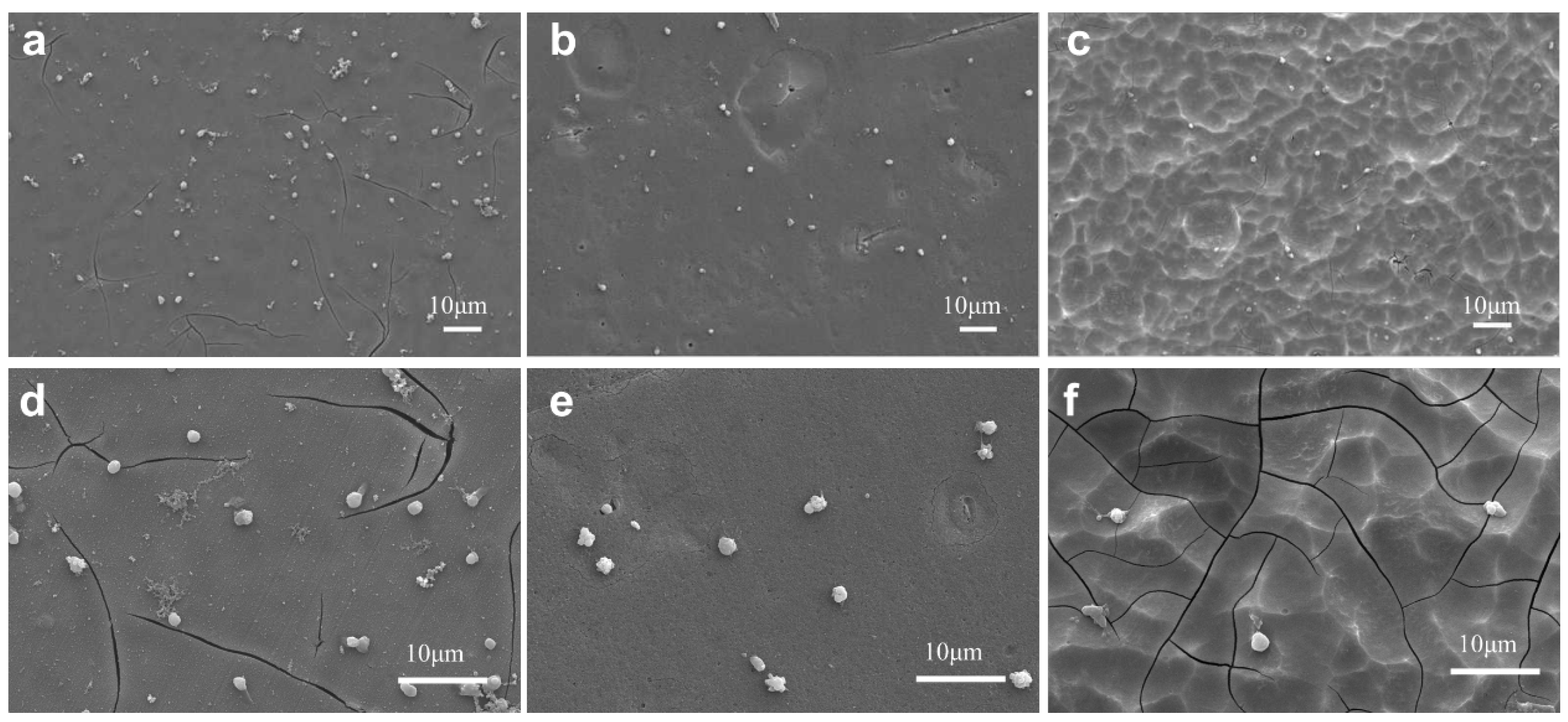 Applsci 07 00033 g007