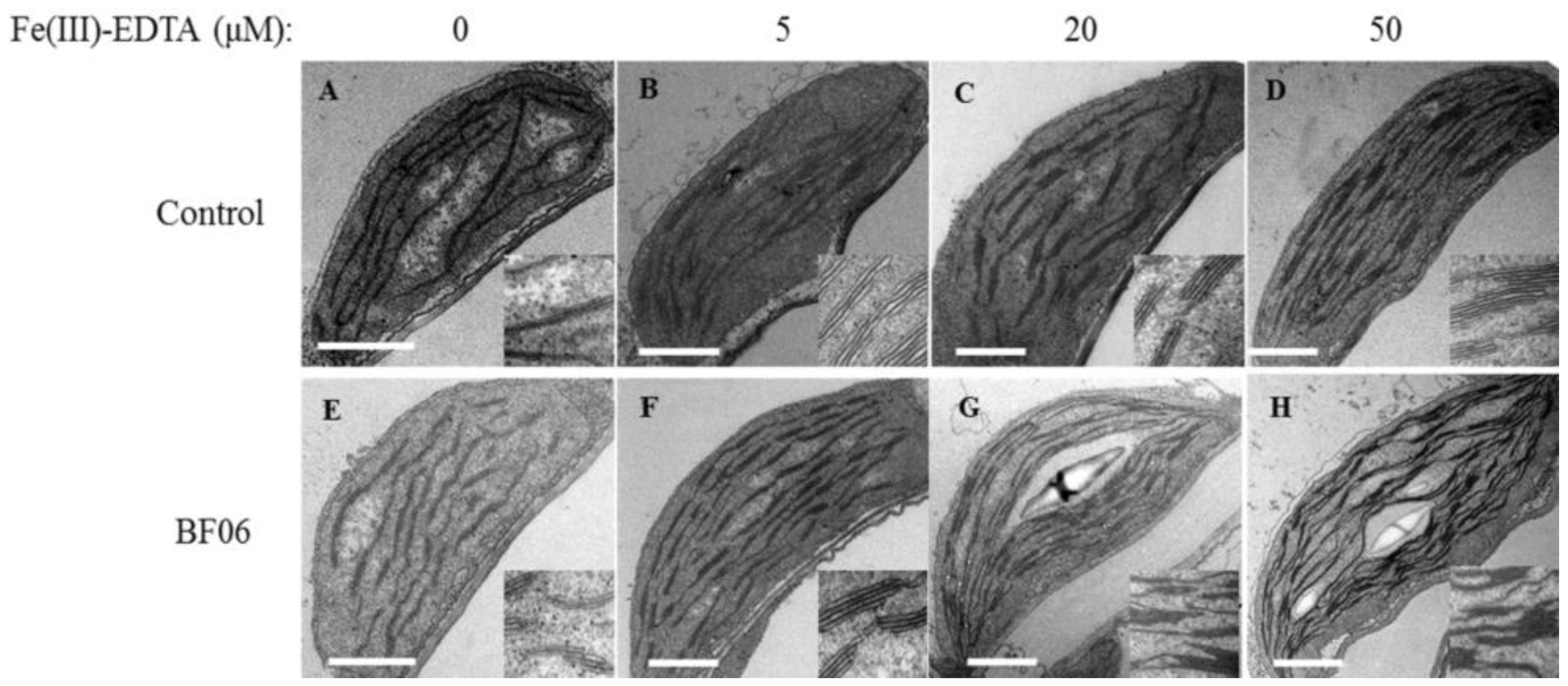 Applsci 07 00085 g006