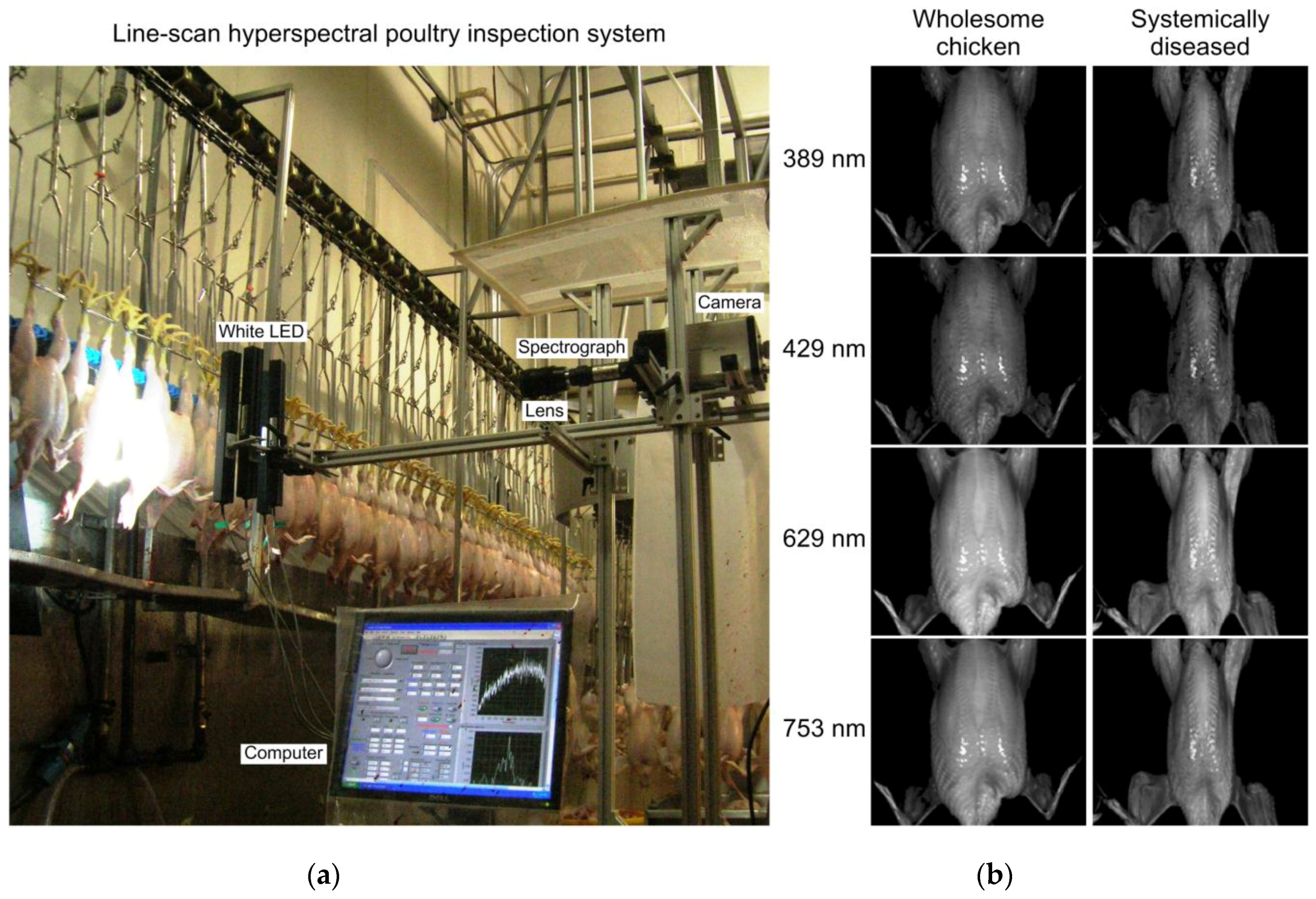 Applsci 07 00125 g011