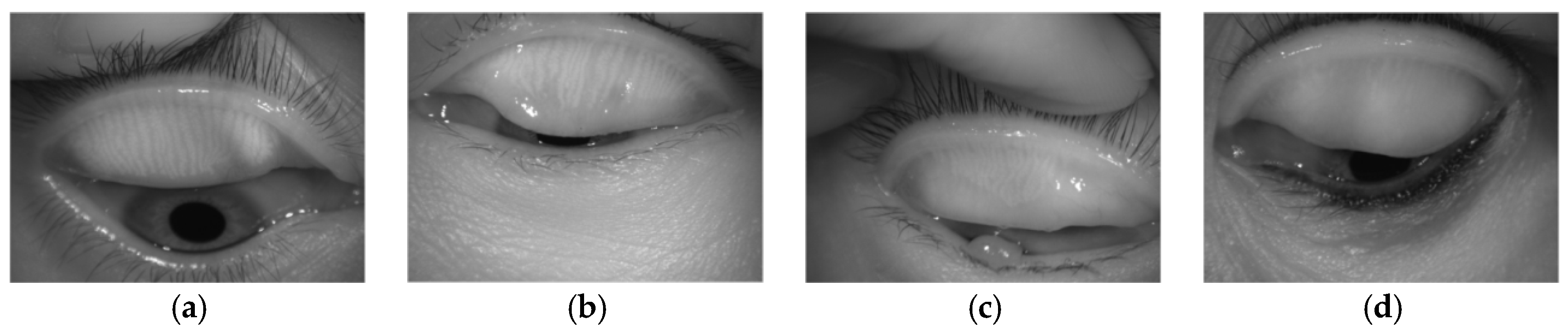 Applsci 07 00192 g004